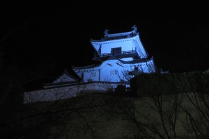 掛川城のライトアップ